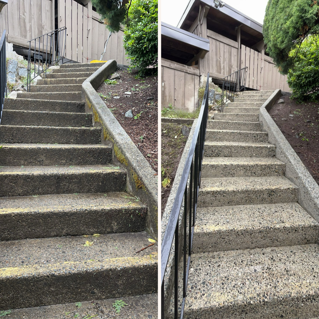 Before and after pressure washing driveway Lower Mainland BC